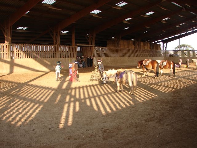  Pbaños a caballo con temática occidental 